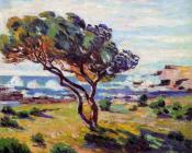 阿曼 吉约曼 : Gust of Wind, le Brusc